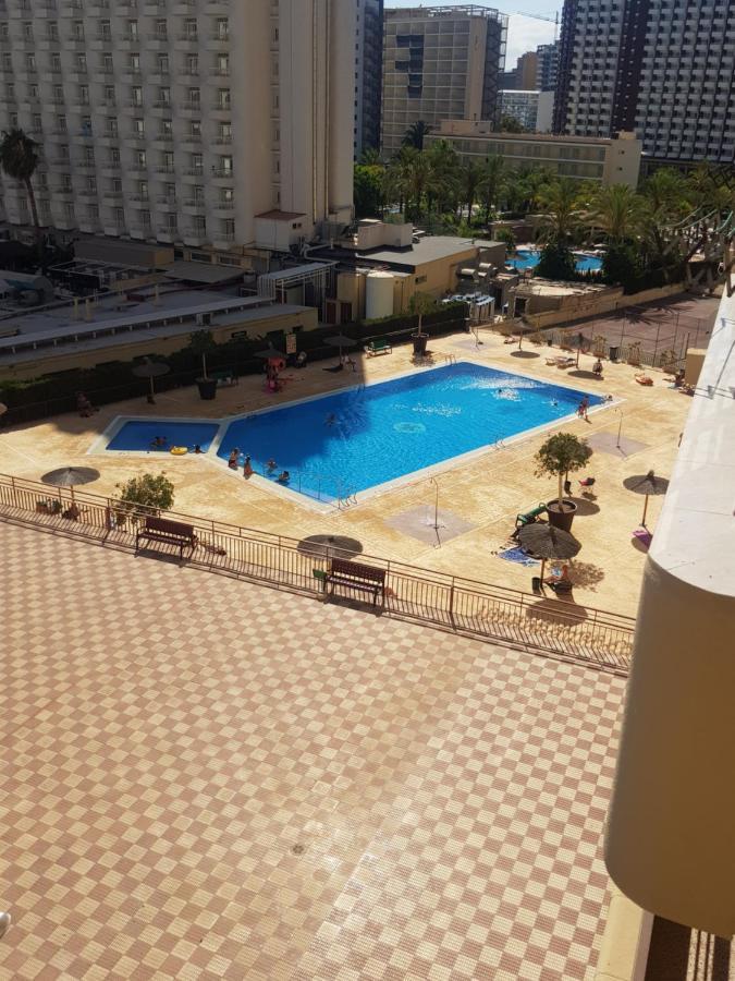 Acuarium 3-Fincas Benidorm Eksteriør billede