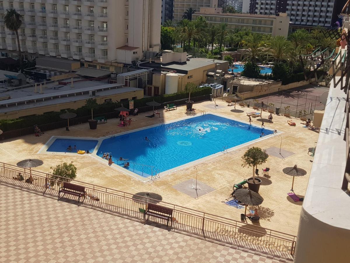 Acuarium 3-Fincas Benidorm Eksteriør billede
